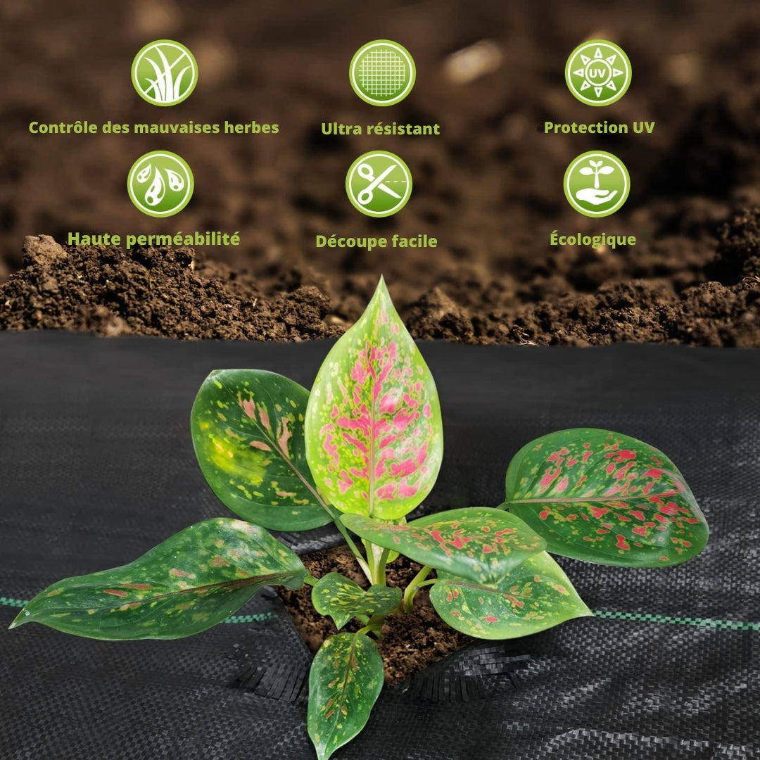 Tapis de plantation