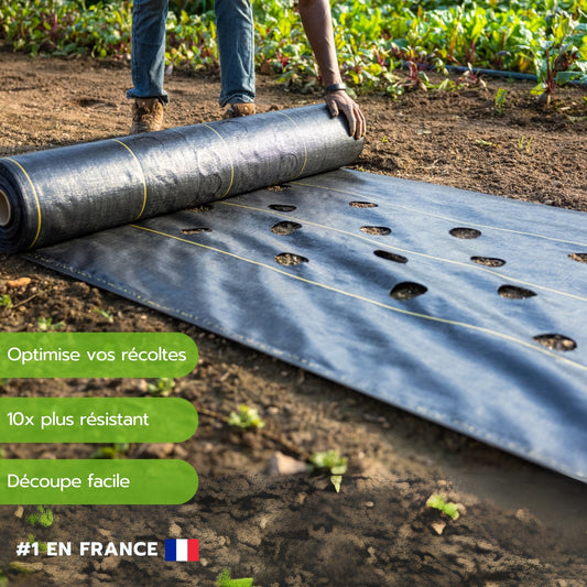 Tapis de plantation